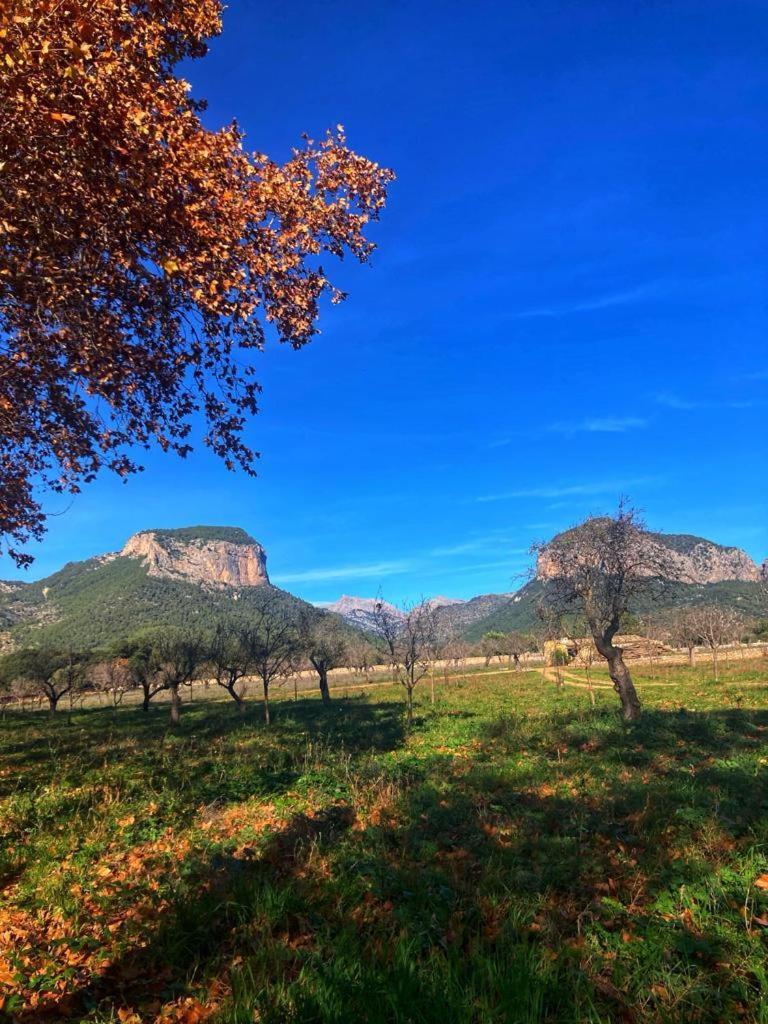 Son Ribes Villa Alaro Exterior photo